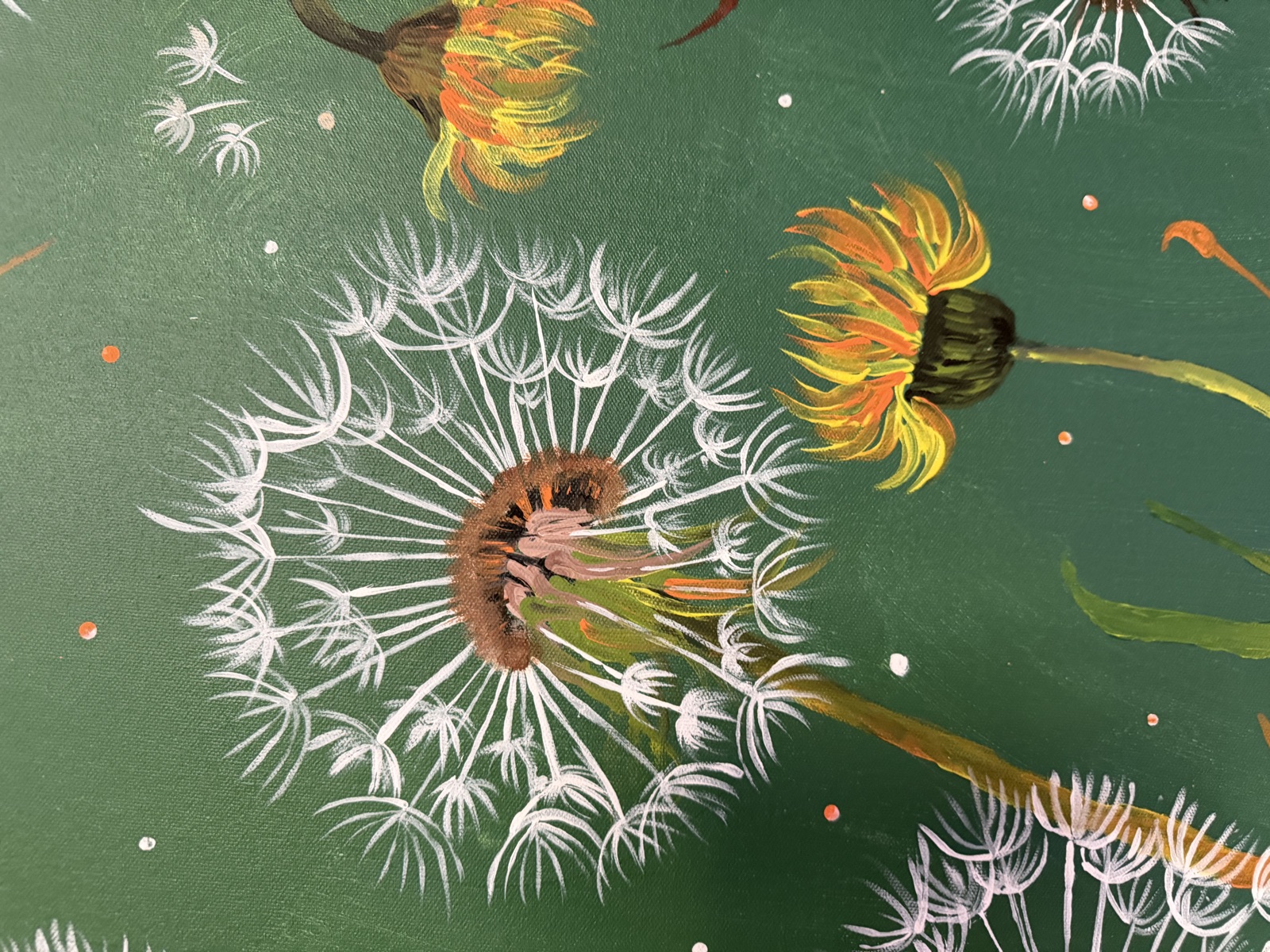 Close-up of the white dandelion seed heads on Dandelions